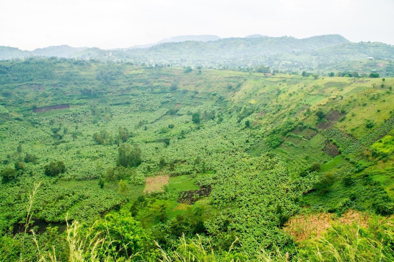 Queen Elizabeth Pvt Lodge Kichwamba Экстерьер фото